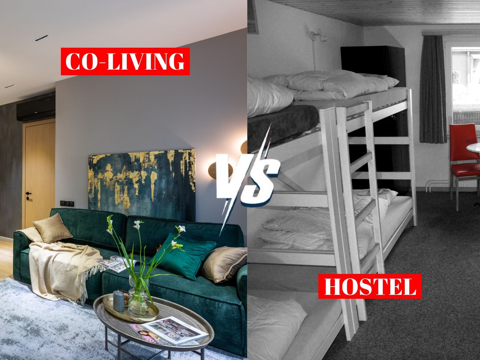 Co-living vs Hostels: Which One is Right for You?